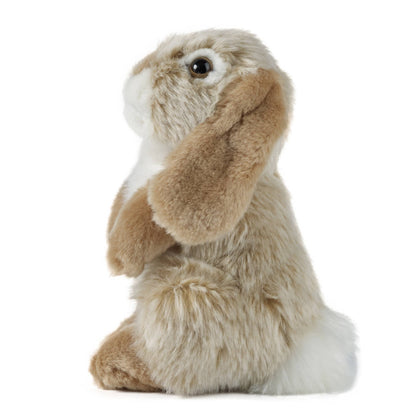 Brown Sitting Lop Eared Rabbit Plush